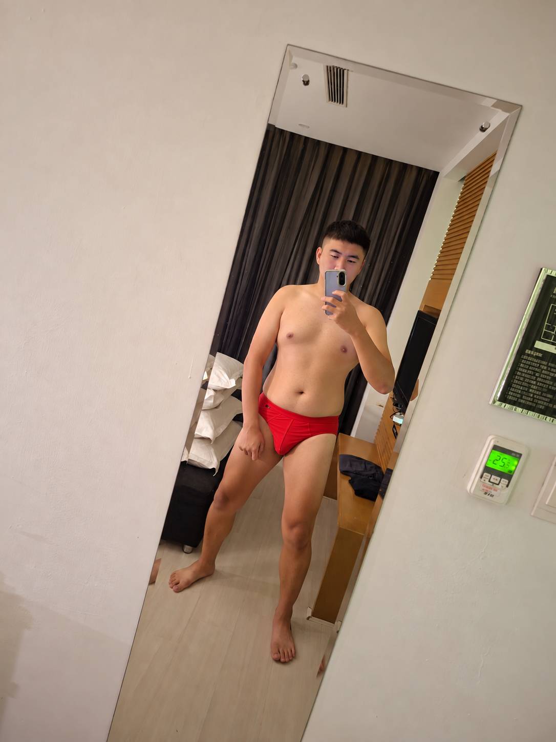 泰迪